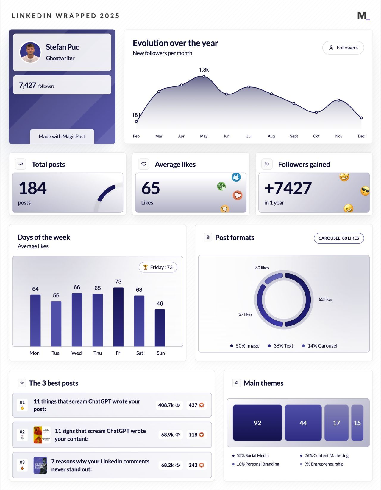 LinkedIn Wrapped 2025 · Stefan Puc