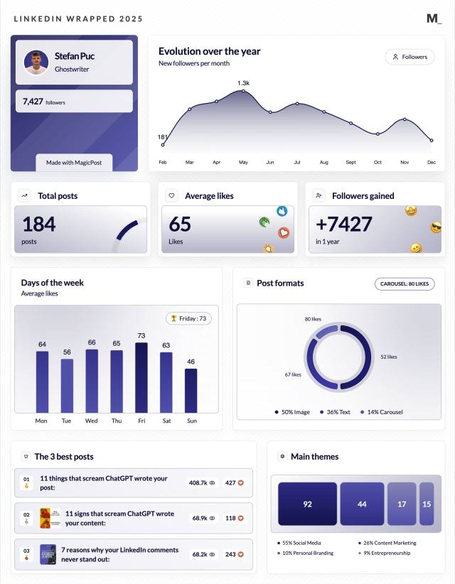 LinkedIn Wrapped 2025 · Stefan Puc