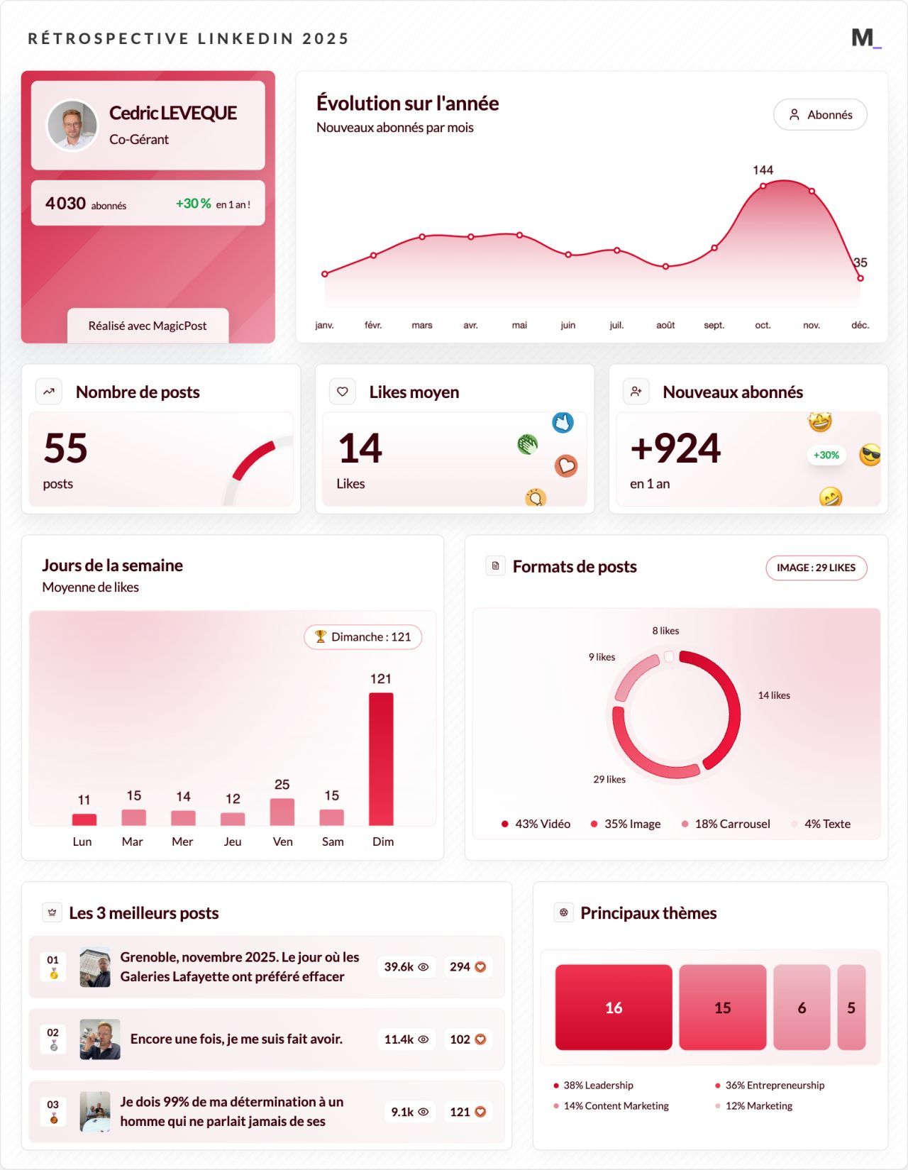 LinkedIn Wrapped 2025 · Cedric LEVEQUE
