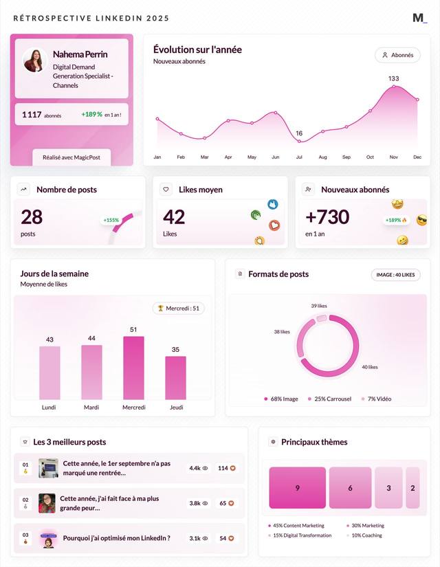 LinkedIn Wrapped 2025 · Nahema Perrin