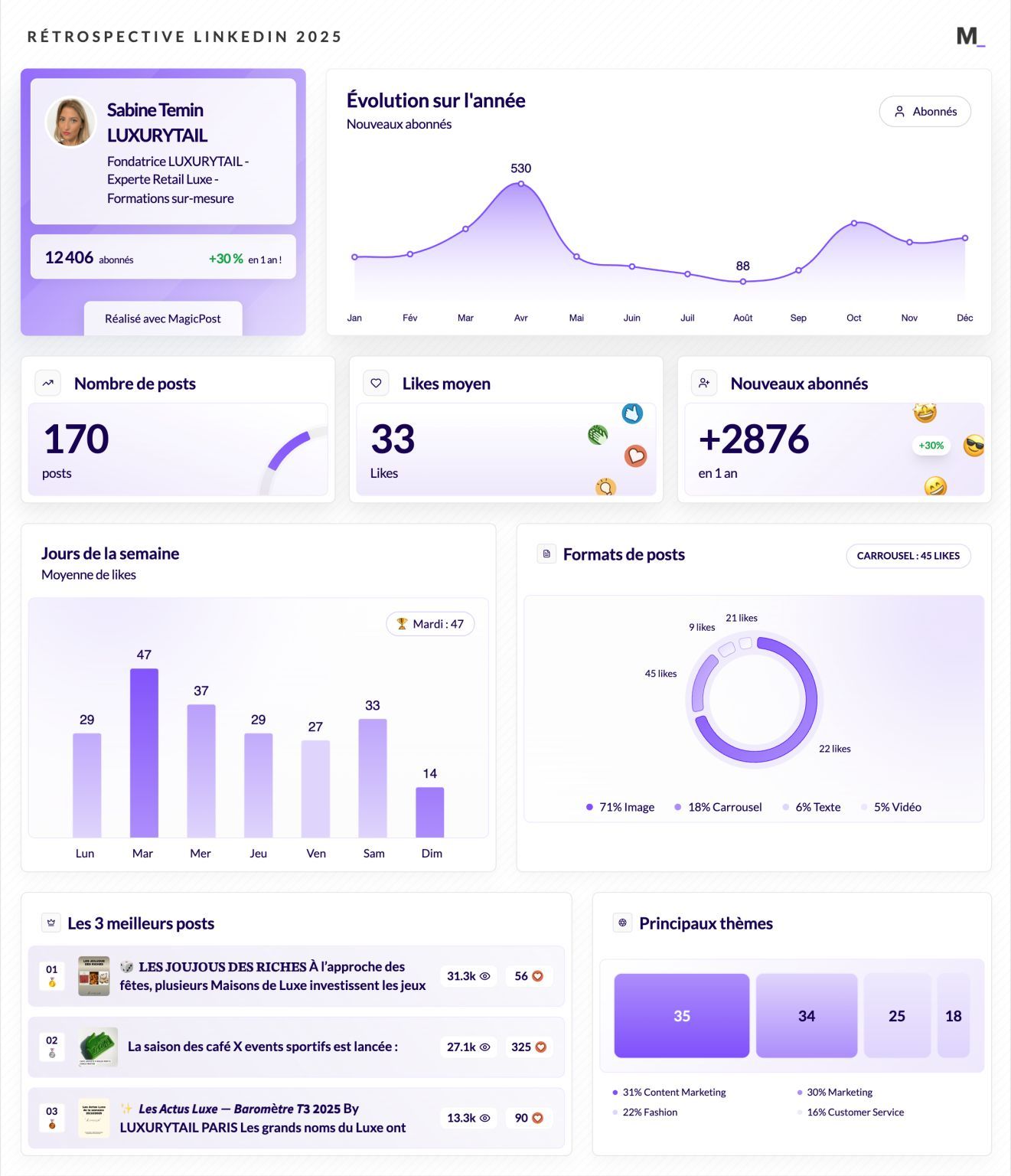 LinkedIn Wrapped 2025 · Sabine Temin LUXURYTAIL